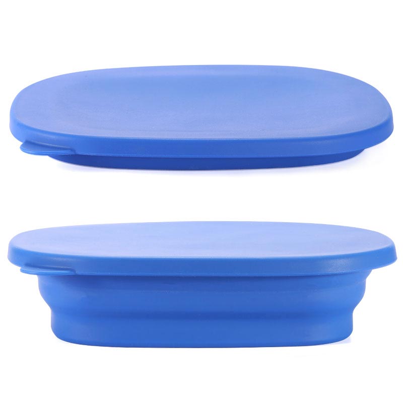 Collapsible Silicone Lunch Box