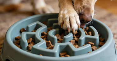 Silicone Slow Feeder Bowls