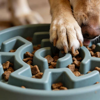 Silicone Slow Feeder Bowls