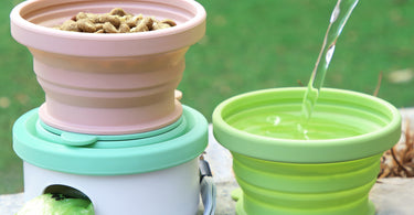 How to Choose the Right Dog Bowls & bottle for dog walk
