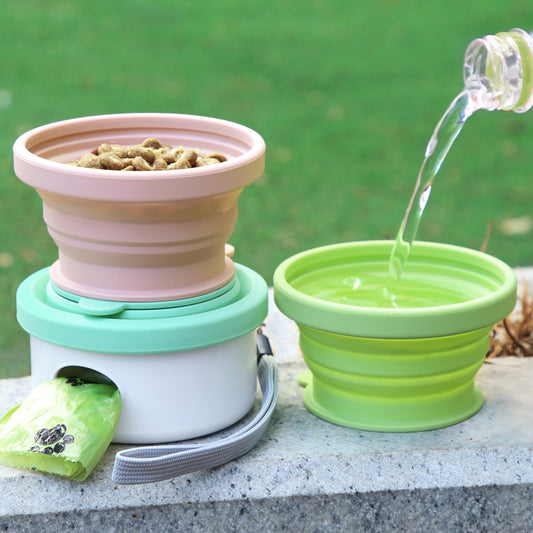 How to Choose the Right Dog Bowls & bottle for dog walk