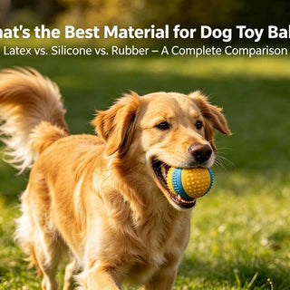 What's the Best Material for Dog Toy Balls?
