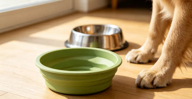 Silicone vs Stainless Steel Pet Bowls