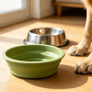 Silicone vs Stainless Steel Pet Bowls