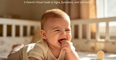 What Does Infant Teething Look Like?