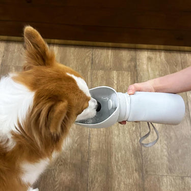 Foldable Dog Water Bottle 