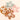 Infant Coral Teether