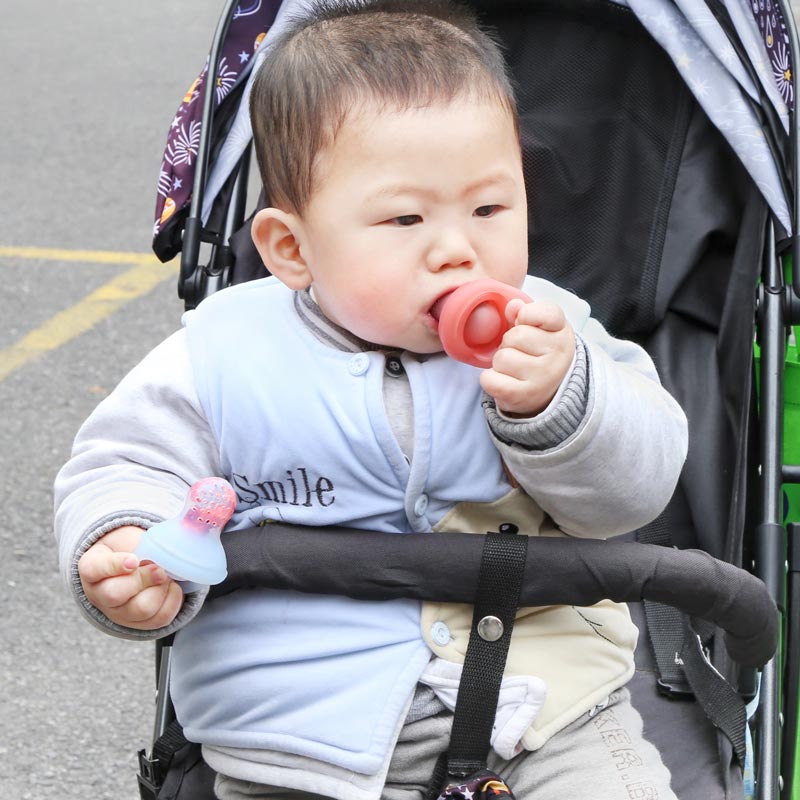 Fruit Feeder Pacifier Custom