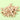 Wholesale Wooden Beads 
