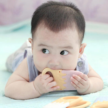 Ice Cream Silicone Teething Toys Customization