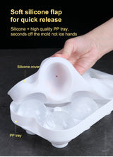 Ice Cube Tray with Storage Box