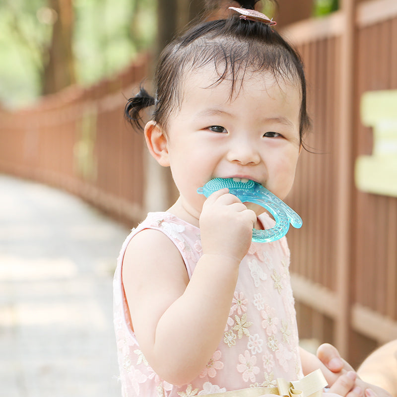 Wholesale Snails Silicone Teething Toy