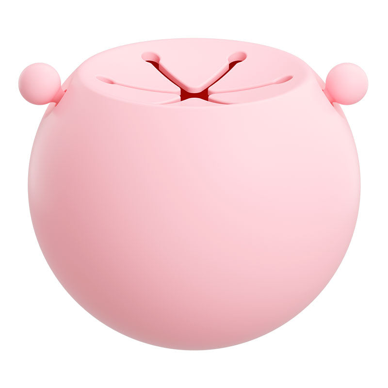 Silicone Snack Ball