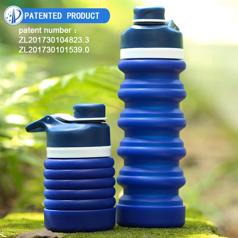 Collapsible Water Bottle