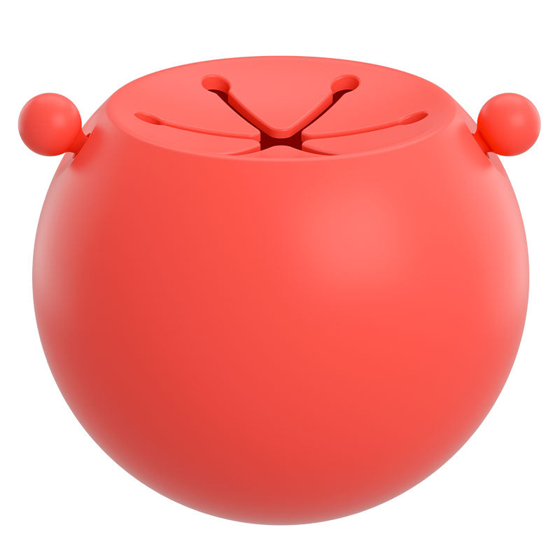 Silicone Snack Ball